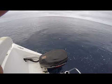 Load and play video in Gallery viewer, Mag Bay Lures - Mahi Morsal