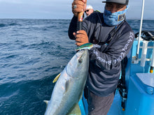 Load image into Gallery viewer, Nomad DTX Minnow