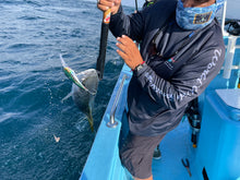 Load image into Gallery viewer, Nomad DTX Minnow