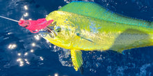 Load image into Gallery viewer, Mag Bay Lures - Tuna Tidbit Daisy Chain
